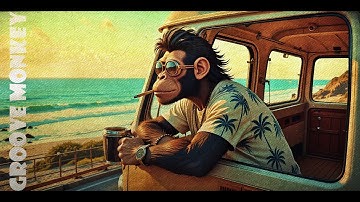 Mapless Soul (- Groove Monkey -)