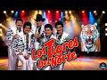 LOS TIGRES DEL NORTE🐯 Puras Canciones Perronas 🔥 Éxitos Legendarios