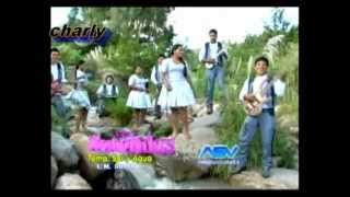 Cumbia Boliviana Mix Las Consentidas 2012