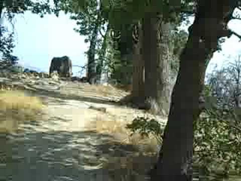 Crestline, CA - July 2008