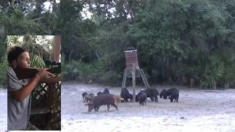 Okeechobee Outfitters Katie's First Hog