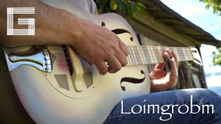Gottfried David Gfrerer - Loimgrobm | Slide Guitar