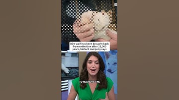 Dire wolf has been brought back from extinction after 13,000 years