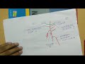 Femoral Artery - 2 | TCML