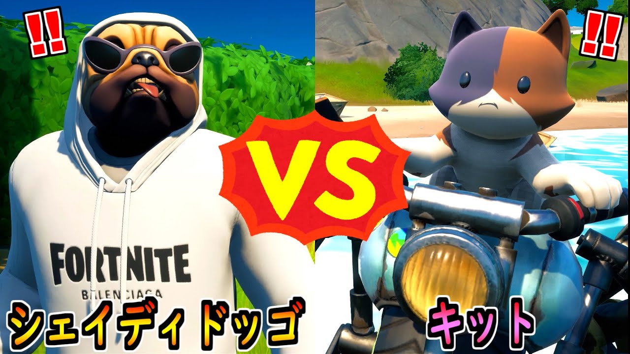 シェイディドッゴ Vs キット 茶番 フォートナイト Gpbox