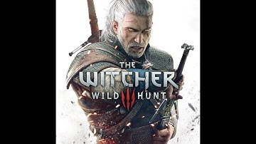 [The Witcher 3] Roach glitch.