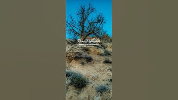 القارئ عبد الباسط عبد الصمد القرآن الكريم #اكسبلور #تصويري #عبدالباسط_عبدالصمد #لايك #القرآن_الكريم