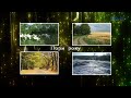 Природа України _Nature of Ukraine _ video relax