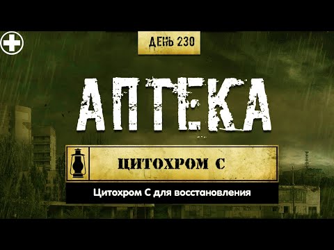 230. Цитохром С. Аптека для восстановления и результата (Химический бункер)