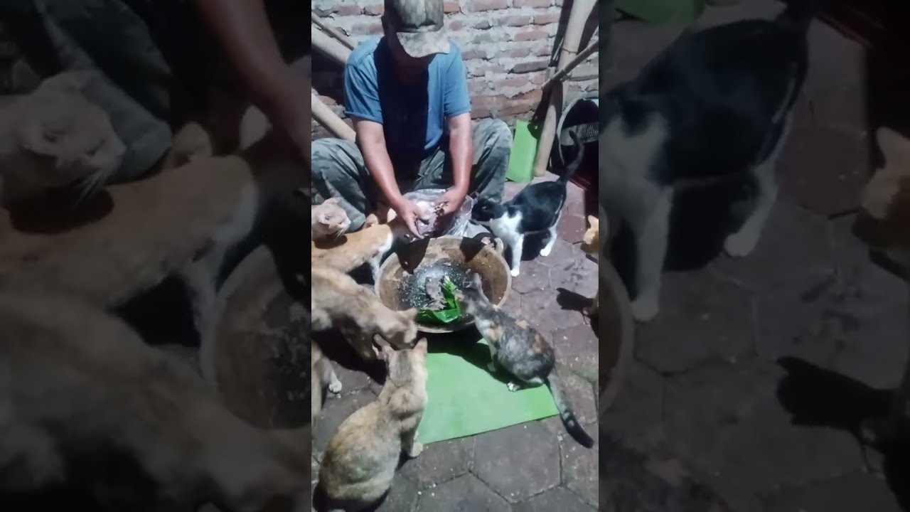 Saeful botak sedang live sekarang!