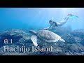 八丈島でシュノーケリング：Free Diving in Japan's Snorkeling Spot Hachijo Island Sokodo | Turtle, Coral, Arch