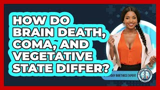 Celebrity How Do Brain Death, Coma, And Vegetative State Differ? - Everyday Bioethics Expert Wealth