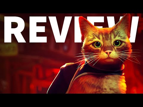 Stray Review