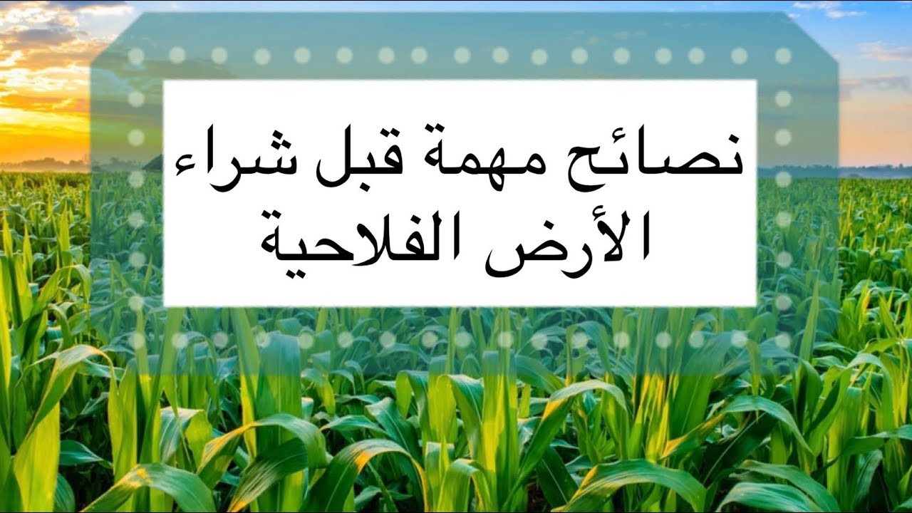 شراء أرض فلاحية بالمغرب