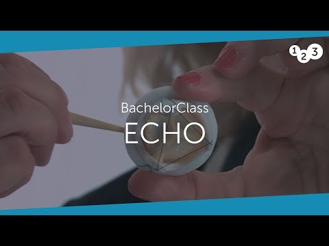 Echo BachelorClass - Your introduction to basic echocardiography