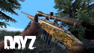 The SPECTACULAR revenge in DayZ!