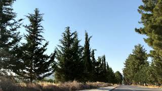 Tofaş Doğanslx-20Abb424