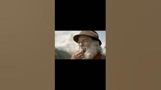 permen ricola orang Swis bilang, imaddictedto fyp ###shorts_video