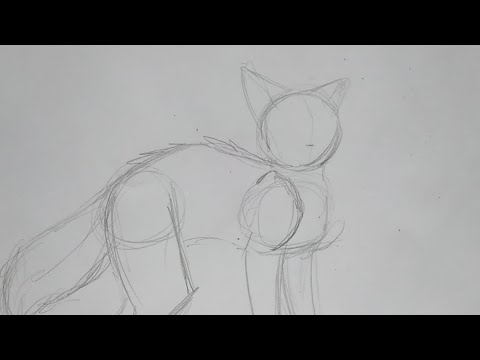 Как нарисовать кошку из котов воителей