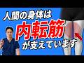 「内転筋」膝痛を解消し一生歩く方法