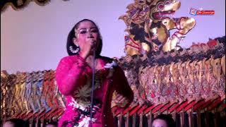 KELINCI UCUL   ||  KENTI WULANDARI