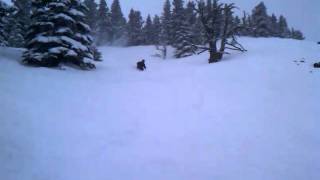 Mission Ridge 2-23-2011