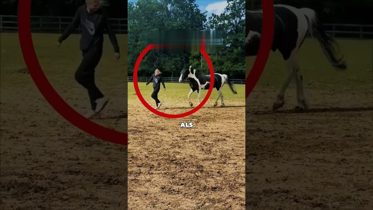 Dieses Pferd tat etwas völlig Unerwartetes 😱🐴