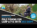 Pole Fishing For Carp And F1s With Des Shipp - Commercial Fishing Masterclass FREE DVD