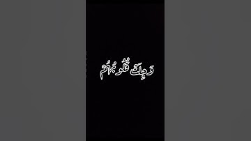 القرآن الكريم تلاوة خاشعة تريح القلب