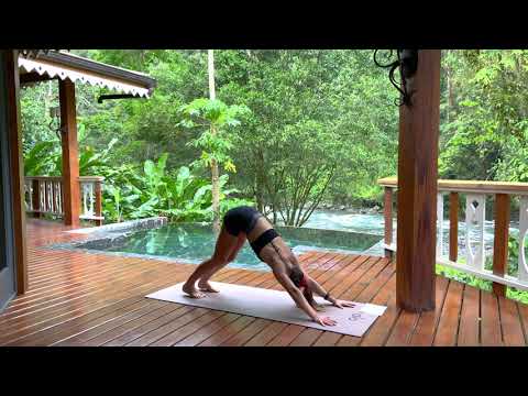 17min - vinyasa bras et épaules (tous niveaux)