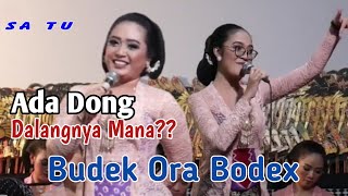 2 Sinden Andalan Dalang Seno ' Tatin & Elisha ' Bikin Ngakak Byk Orang