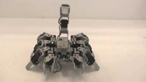 Bioloid Scorpion Robot