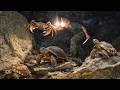 Surviving Alone for 5 Days: Shelter Building, Night Hunting & Wild Trapping