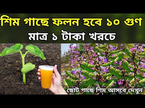 Porno film Simpsons komikslar Eshakda mast rus