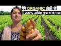 Organic Haldi farming business model in India / Turmeric Powder Profitable Agriculture