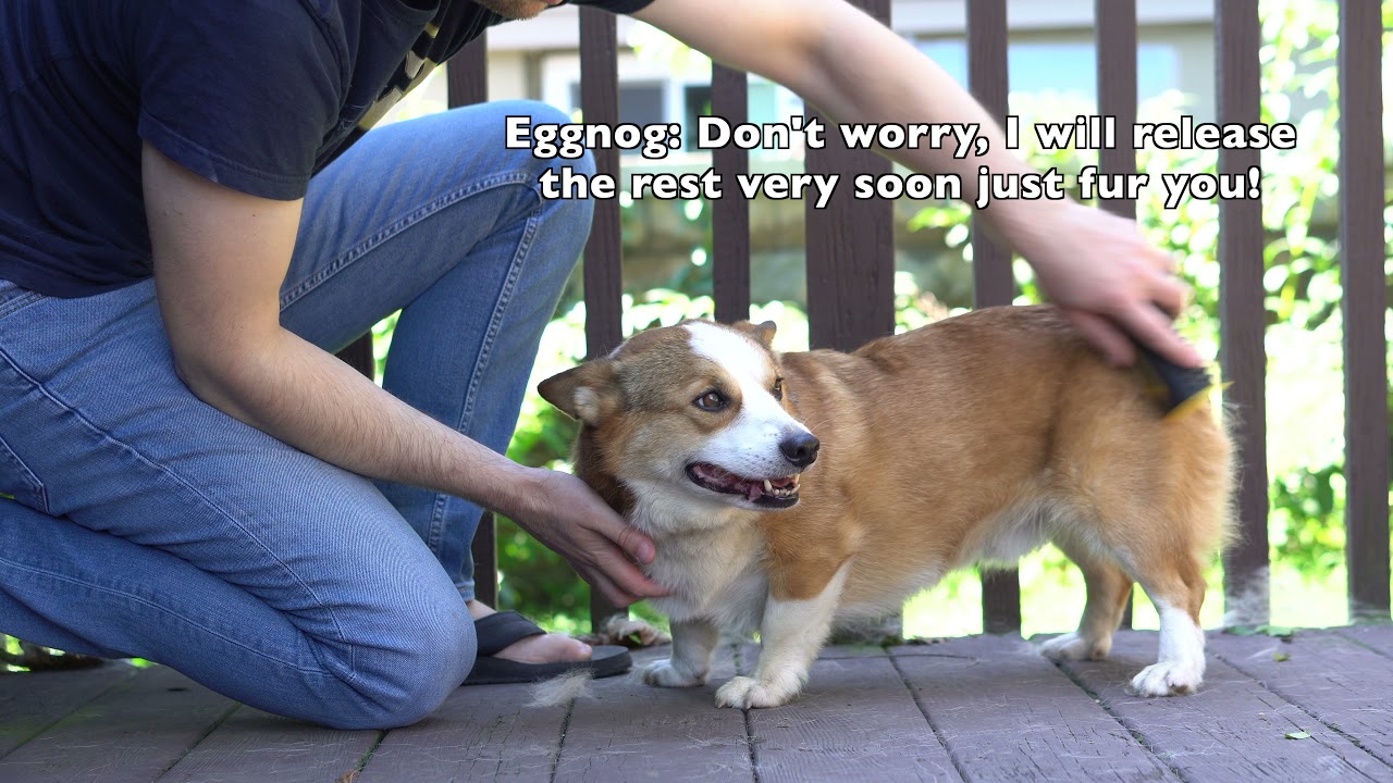 How Much Do Shed? What to Consider When Getting A YouTube