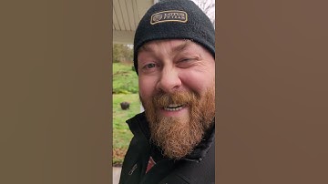 Audi!? Radiator fan belt replacement 1998 VW Jetta. #racing #lemonsworld