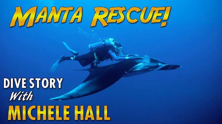 Michele Hall's Manta Ray Rescue!  | DIVE STORIES