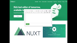 ckeditor5  for vue nuxt framework part 1/5