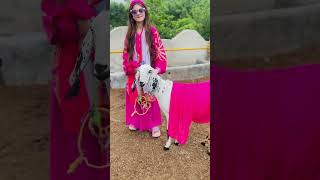 Bakra Laray Bado Badi | #bakraeid #eiduladha #eid #Funny MoonVines