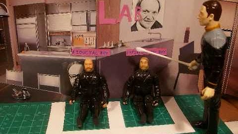 Fiducial: Our Fixed Variable Cosmic Twins Experiment