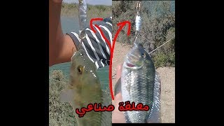 صيد سمك البلطي بالطعم الصناعيNasr Shepl