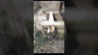 bodycam record
