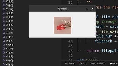 Continuous image capture from webcam