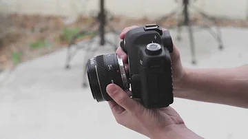 Who qualifies for free lenses?