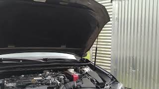 2019 Toyota Camry SE Oil Change