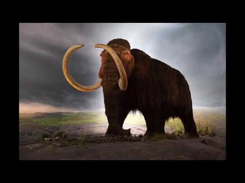 Sound Effects - Woolly Mammoth