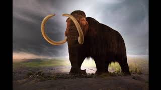 Sound Effects - Woolly Mammoth