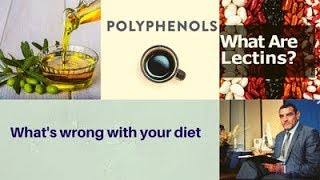 Dr Faid || What's wrong with your diet ?