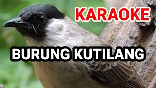 Download Lagu KARAOKE LAGU ANAK INDONESIA | BURUNG KUTILANG DI PUCUK POHON CEMARA MP3
